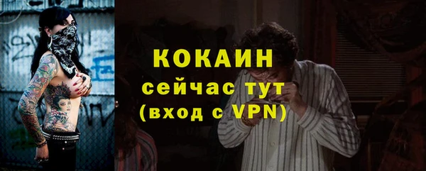 apvp Богородицк