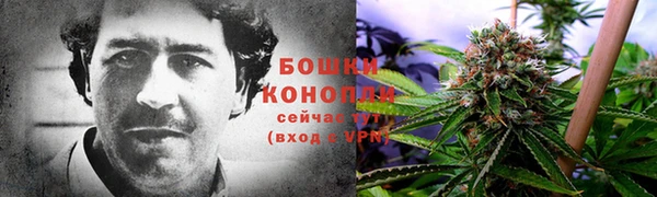 apvp Богородицк